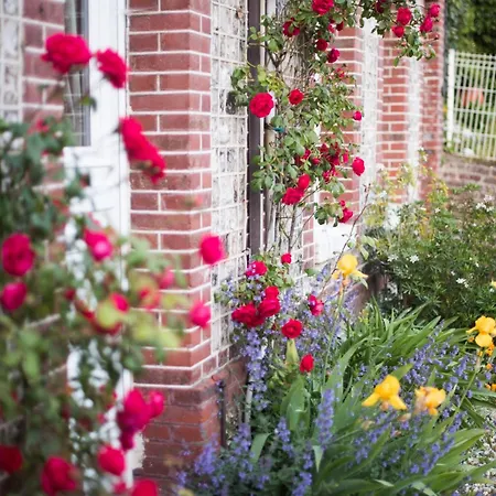 D'hotes Stella Mare 3*