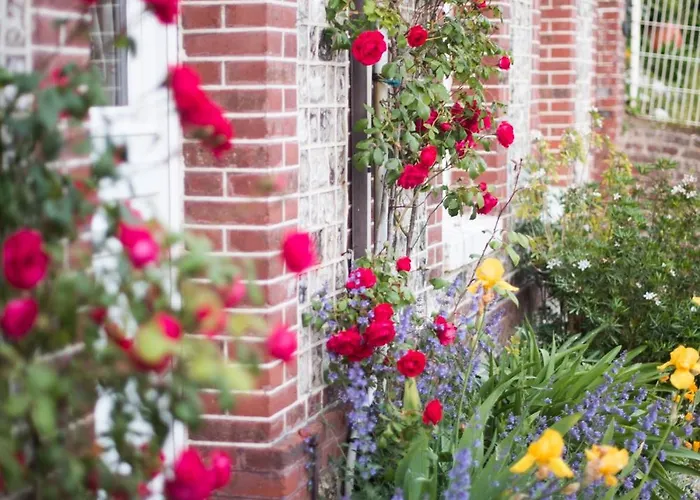 D'hotes Stella Mare 3*